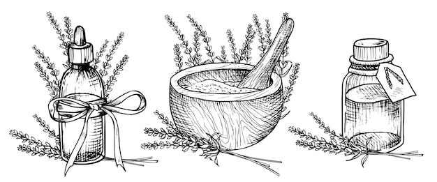 Huile Essentielle De Lavande Illustration Vectorielle Linéaire Dessinée à La Main D'un Vintage Mortier Et Piston De Bouteille Pour L'aromathérapie En Noir Et Blanc Dessin D'un Flacon Avec Des Fleurs Pour Les Cosmétiques Ou Les Médicaments