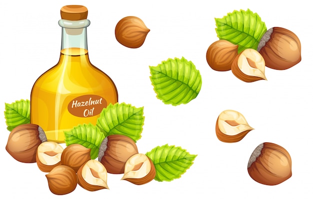 Huile de noisette et graines de noisette.