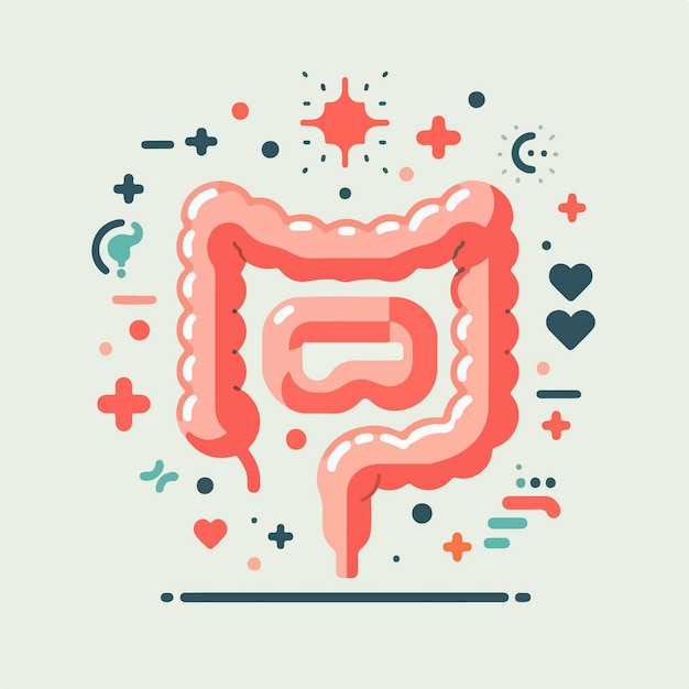 Icon de dessin animé de l'intestin illustration éducation concept d'icône d'objet