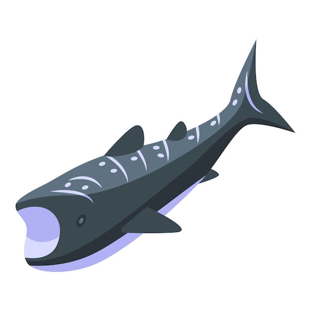 Vecteur icône d'animal de requin-baleine vecteur isométrique espèce d'aquarium de mer de poisson