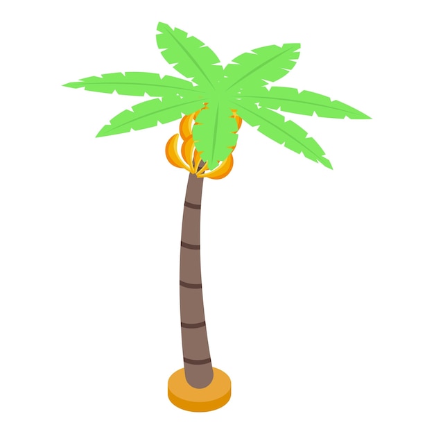 Icône d'arbre fruitier de banane Isométrique de l'icône de vecteur d'arbre fruitier de banane pour la conception de Web isolée sur fond blanc