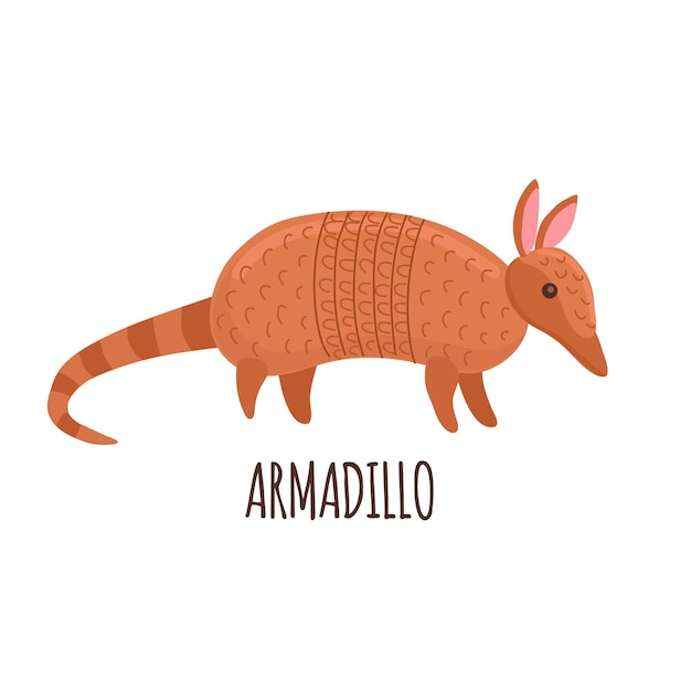 Vecteur l'icône de l'armadillo est un avatar isolé.