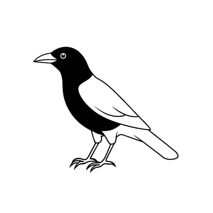 Vecteur icône artistique de la ligne d'oiseau de corbeau américain