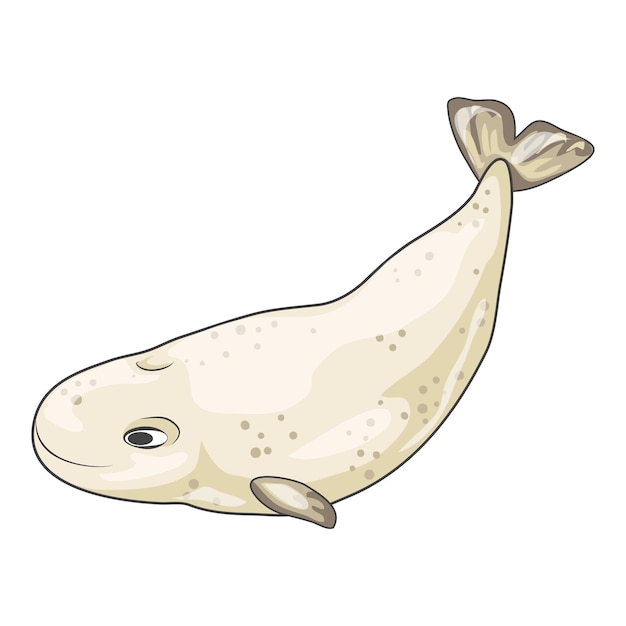 Vecteur icône de baleine blanche dessin animé d'une icône de vecteur de baleine blanche pour la conception de sites web isolée sur fond blanc
