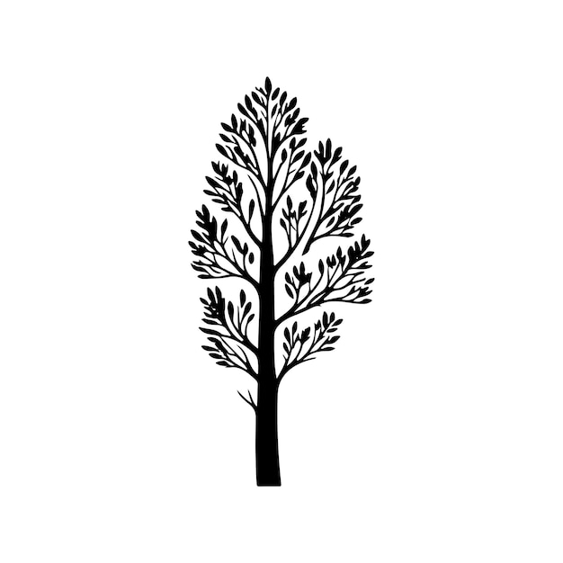 Icône De Bouleau Dessiné à La Main Couleur Noire élément Vectoriel Et Symbole Du Logo De L'arbre