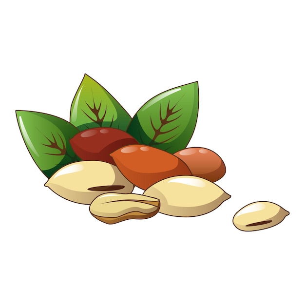 Icône de cacahuète écologique Dessin animé de l'icône de vecteur de cacahuète écologique pour la conception de sites Web isolée sur fond blanc
