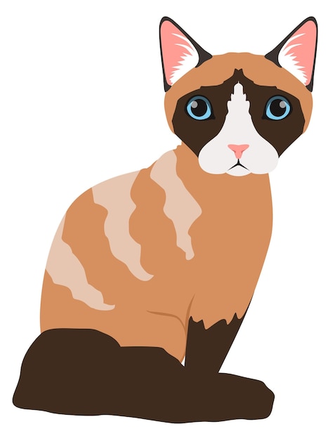 Vecteur icône de chat assis race siamoise animal domestique