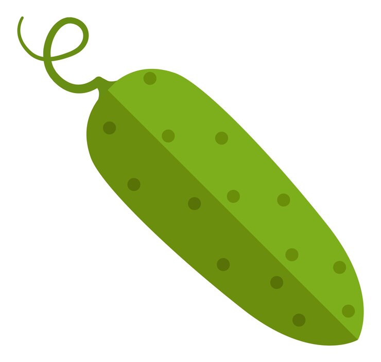 Icône de concombre vert Symbole de produit biologique frais