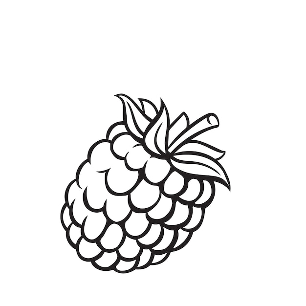 Icône de contour de baies de fruits framboise, dessin illustration monochrome. Alimentation saine, aliments biologiques, produit végétarien.