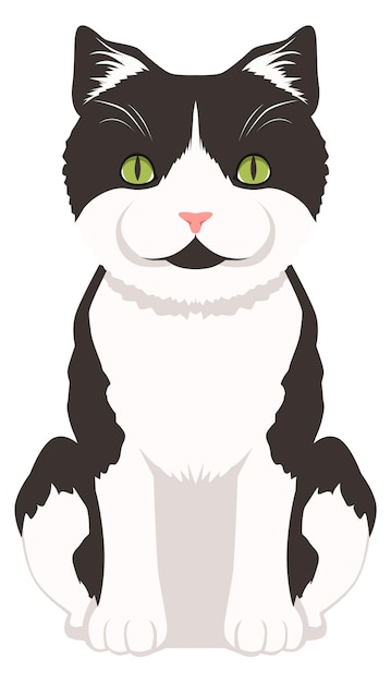 Icône de dessin animé de chat assis Animal de compagnie drôle de fourrure blanche noire