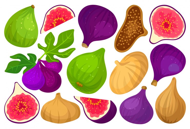 Vecteur icône de dessin animé de figue. fruits illustration sur fond blanc. icône de jeu de dessin animé fig.