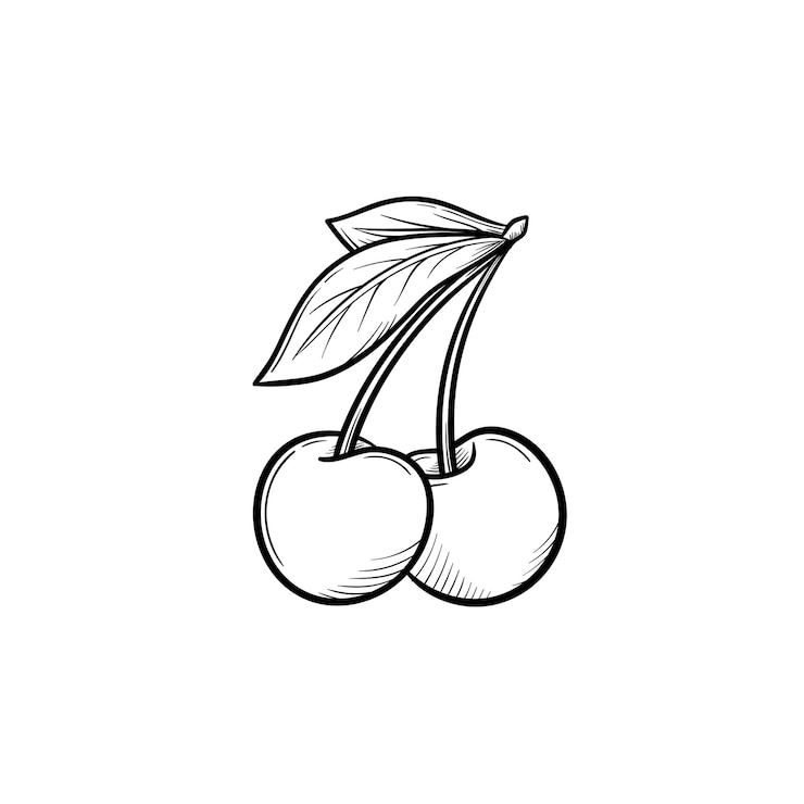 Vecteur icône de doodle contour dessiné main cerise. illustration de croquis de vecteur de baies saines - cerise crue fraîche sur une branche avec une feuille pour impression, web, mobile et infographie isolé sur fond blanc.