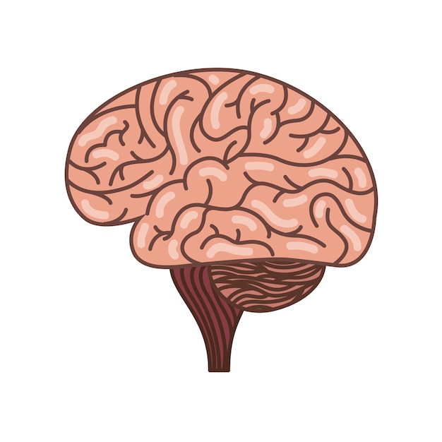 Icône Du Cerveau Humain