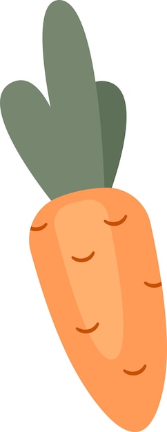 Vecteur icône du légume à la carotte