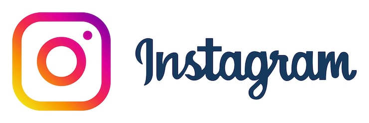 Vecteur l'icône du logo d'instagram