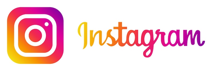 Vecteur l'icône du logo d'instagram