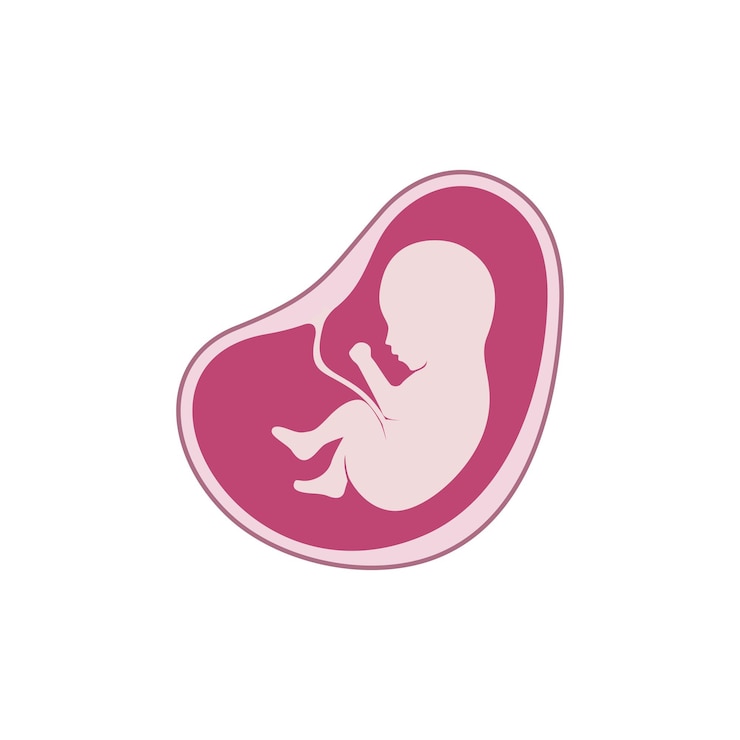 Vecteur icône du logo de la mère enceinte, du bébé, du fœtus, de l'embryon