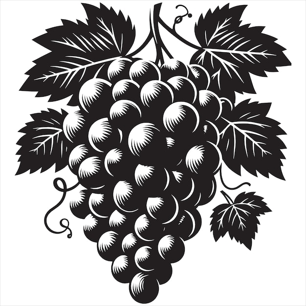 Vecteur l'icône du raisin le logo du vin le symbole de l'ingrédient alimentaire l'iconique du raisin la silhouette noire et blanche le vecteur de style