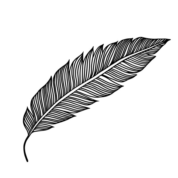 Icône De Feuille Icône De Feuille Tropicale Noire Isolée Illustration Vectorielle