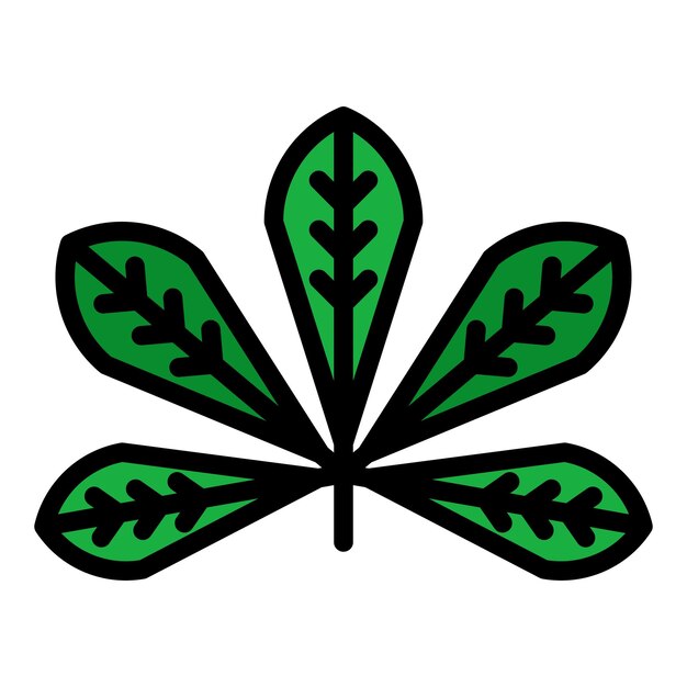 Vecteur icône de la feuille de noix de chêne naturelle contour de l'icône vectorielle de la feuilles de chène naturelle couleur plate isolée
