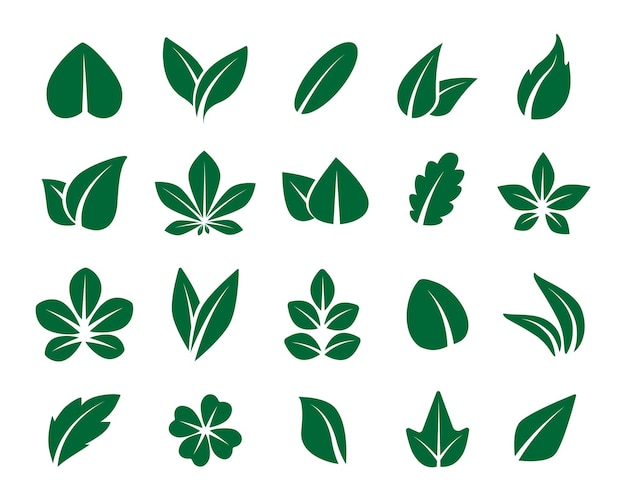 Icône De Feuille Symbole De Pousse Verte De La Nature Vecteur Abstrait Feuillage Organique