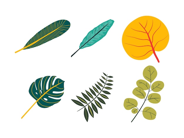 Vecteur icône de feuilles tropicales sur fond blanc design coloré illustration vectorielle