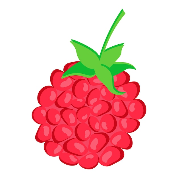 Icône De Framboise Signe De Baies Mûres Illustration Vectorielle