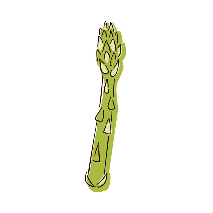 Vecteur icône de germe vert d'asperges dans le style de l'art en ligne ingrédient de cuisson végétal illustration vectorielle isolée sur un fond blanc