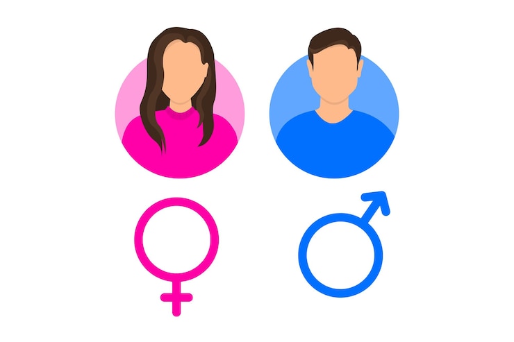Vecteur icône homme et femme profil d'avatar masculin et féminin illustration vectorielle des symboles de genre rose et bleu messieurs et dames signes de toilette