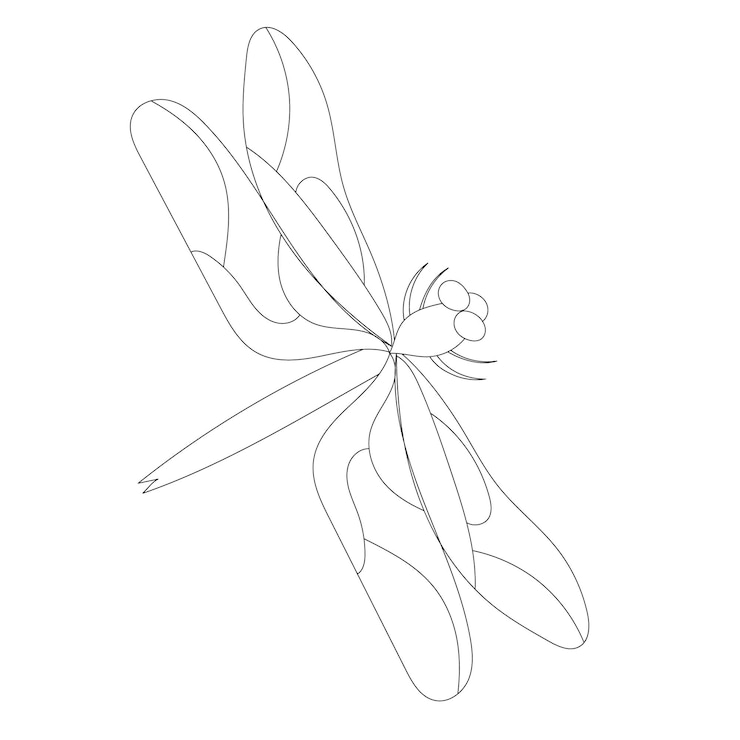 Vecteur icône d'insecte libellule contour fond blanc