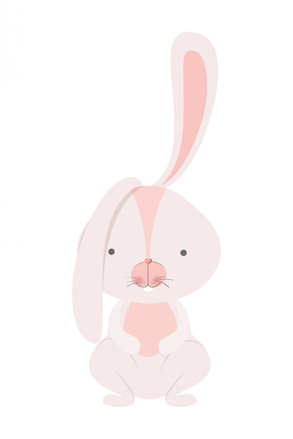 Icône isolé de lapin mignon