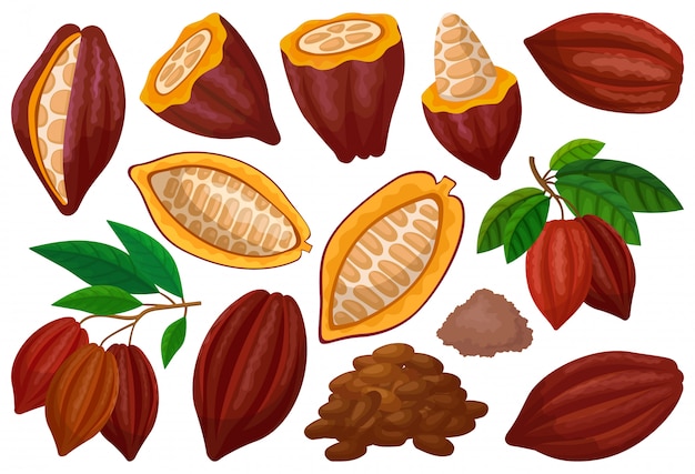 Icône De Jeu De Dessin Animé Isolé De Fève De Cacao. Fruits Au Chocolat Illustration Sur Fond Blanc. Dessin Animé Mis Icône Fève De Cacao.