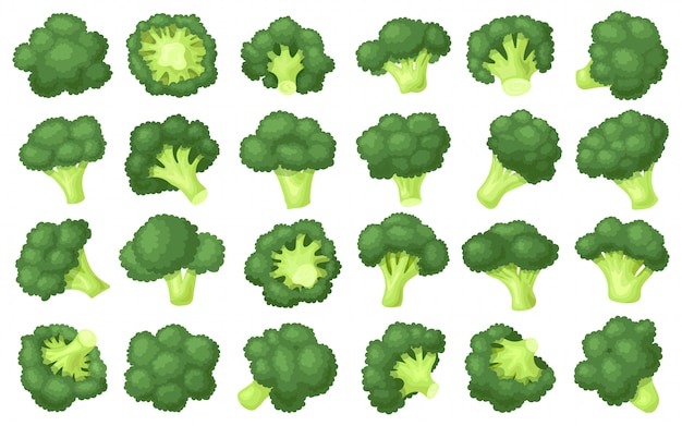 Vecteur icône de jeu de dessin animé de miettes de brocoli.