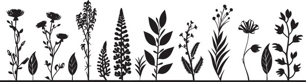 Vecteur icône de logo vectoriel noir floral design d'icône à l'encre gravée bordure botanique icône vectoriel floral