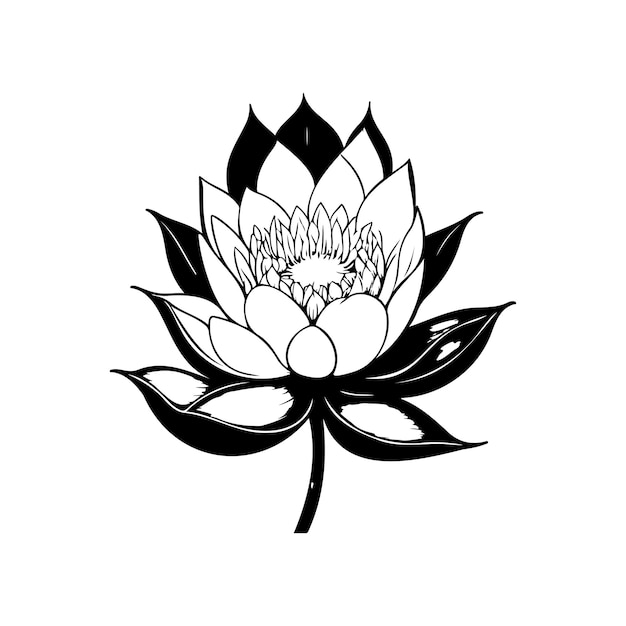 Icône De Lotus Dessin à La Main Fleur Noire élément Vectoriel Du Logo Et Symbole