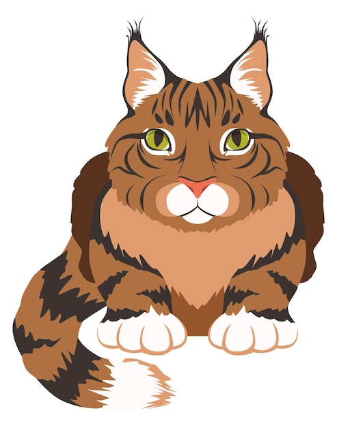 Icône De Maine Coon Symbole De Race De Chat De Dessin Animé