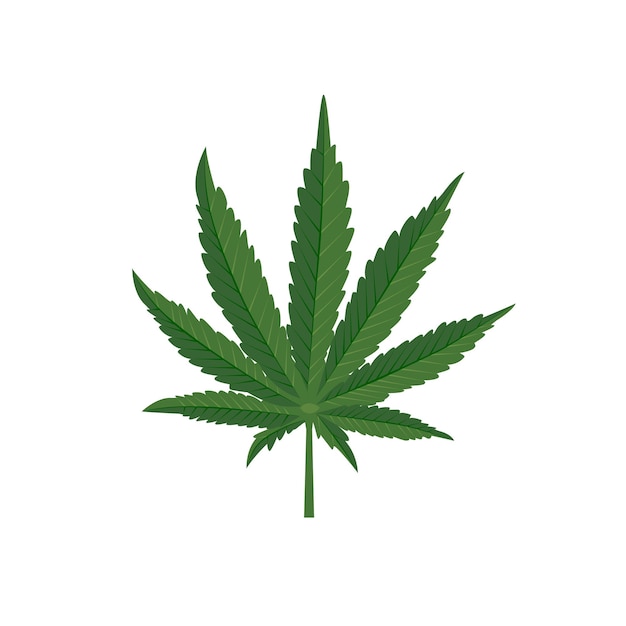 Icône de la marijuana Les feuilles de cannabis vert La drogue naturelle organique Le chanvre médical La légalisation du cannabis