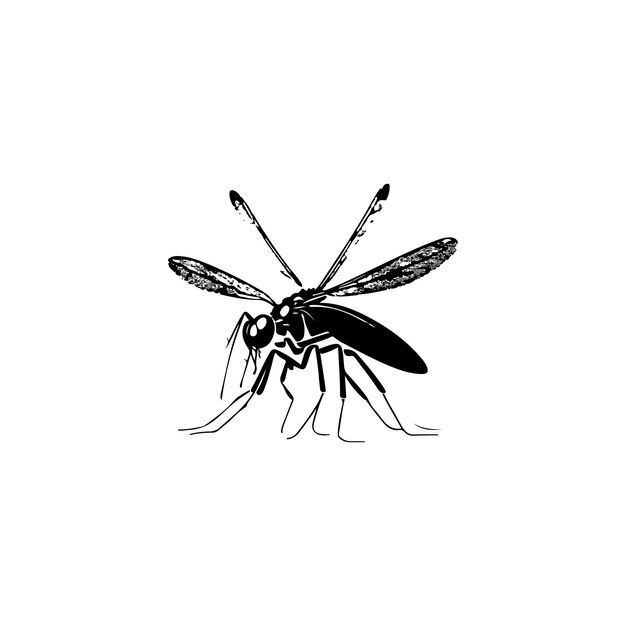 Vecteur icône de moustique dessin à la main couleur noire animaux volants logo élément vectoriel et symbole