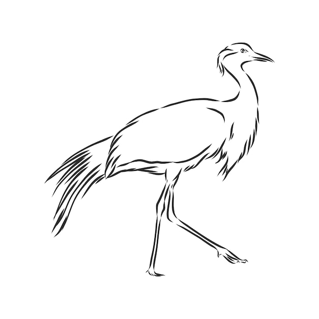 Vecteur icône d'oiseau grue. illustration de croquis de vecteur de grue d'oiseau