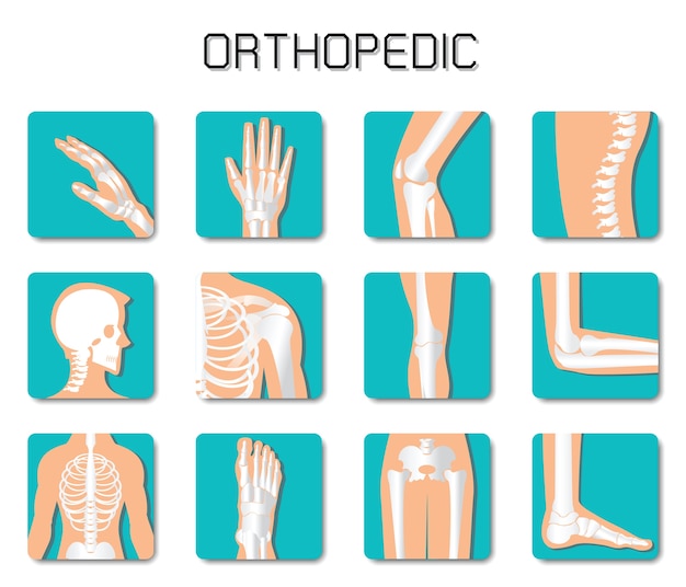 Vecteur icône orthopédique et colonne vertébrale sur fond blanc.
