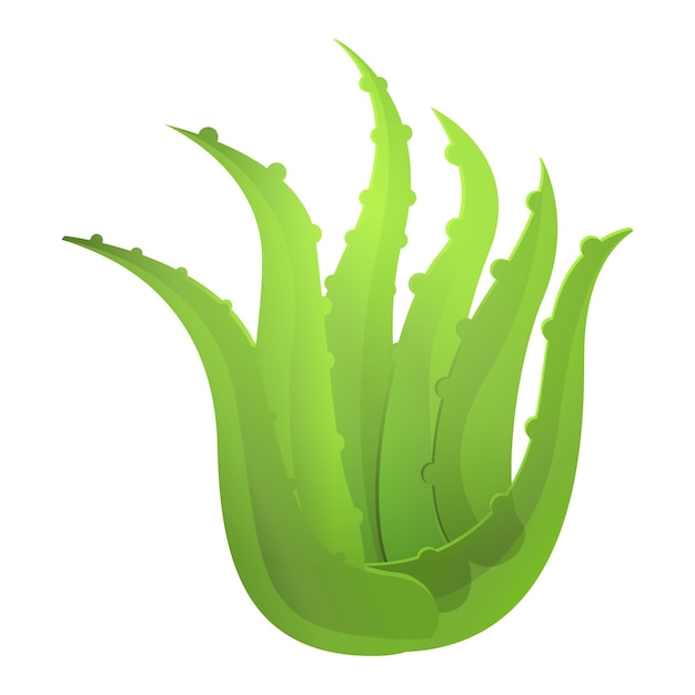 Icône de la plante d'aloe vera Cartoon de l'icône vectorielle de l'aloe vera pour la conception de sites Web isolée sur un fond blanc