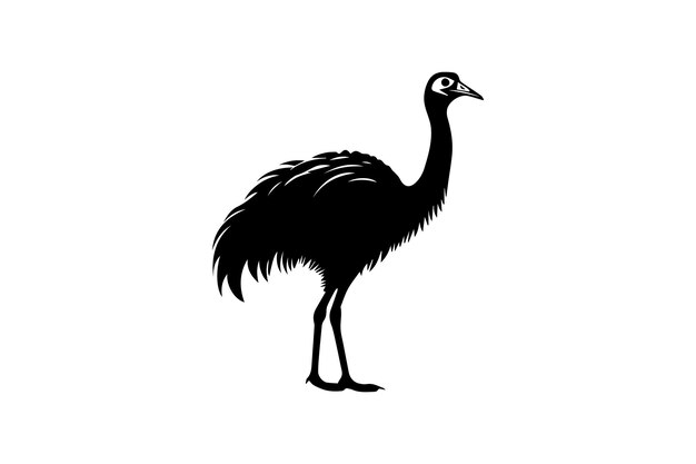 Vecteur icône plate de l'emu