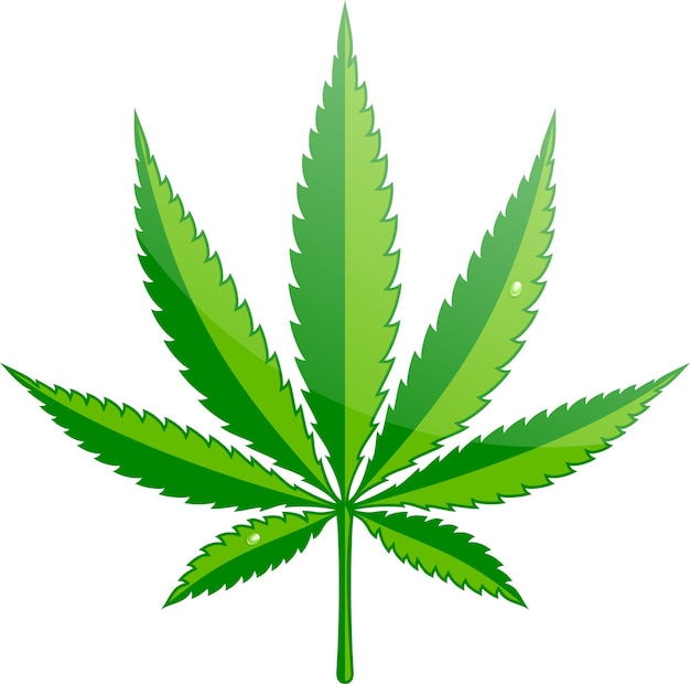 Icône plate de feuille de chanvre de cannabis