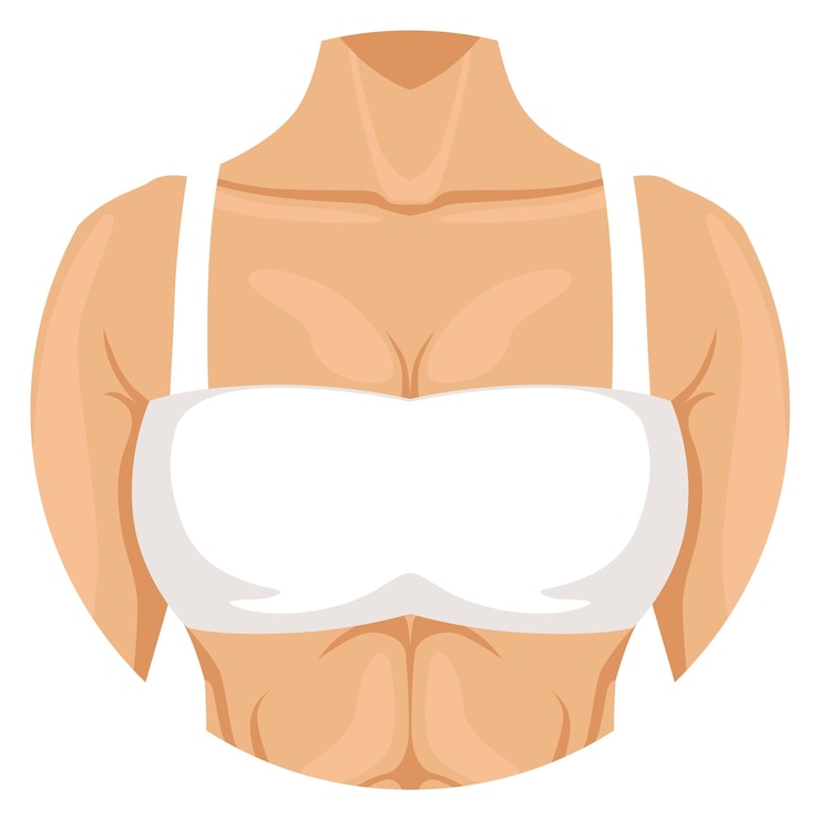 Vecteur icône de la poitrine féminine partie du corps de la femme anatomie humaine