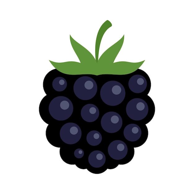 Vecteur icône de produit blackberry illustration plate de l'icône vectorielle de produit blackberry isolée sur fond blanc