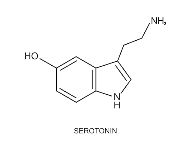 Icône sérotonine. Heureux ou se sentir bien signe hormonal. Structure moléculaire chimique