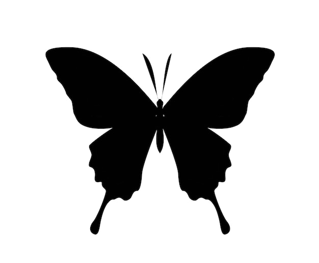 Icône de silhouette papillon