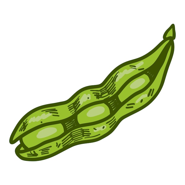 Vecteur icône de soja ouverte illustration dessinée à la main de l'icône vectorielle de soja ouverte pour la conception de sites web