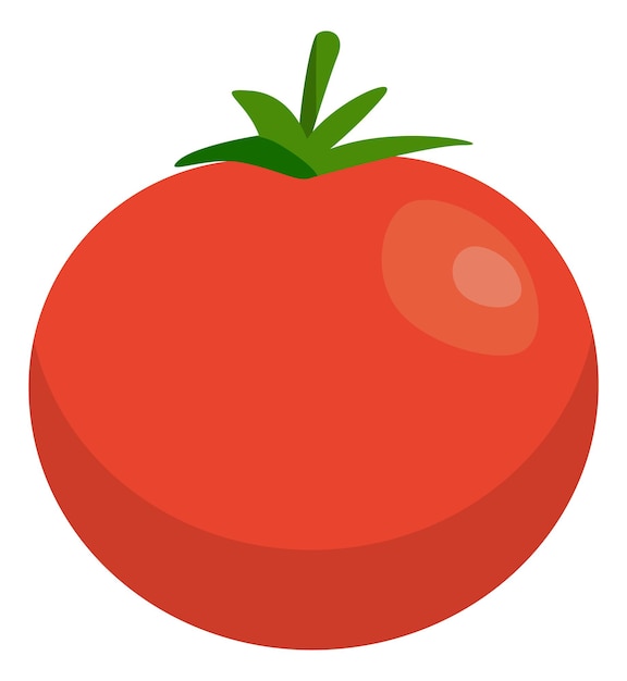 Icône de tomate Ingrédient de cuisine savoureux mûr frais isolé sur fond blanc