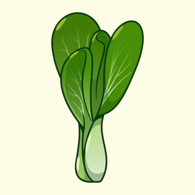 Vecteur icône de vecteur de dessin animé de légumes pak choi